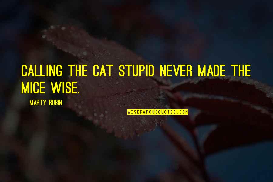 Rian Quotes By Marty Rubin: Calling the cat stupid never made the mice