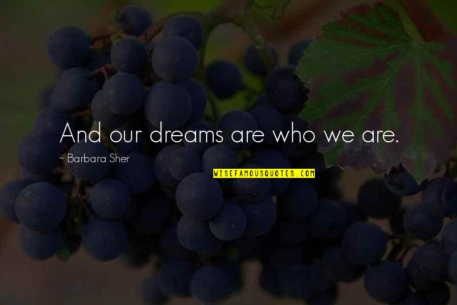 Rib Tickling Quotes By Barbara Sher: And our dreams are who we are.