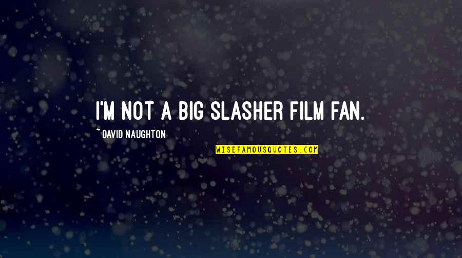 Ribakov Quotes By David Naughton: I'm not a big slasher film fan.