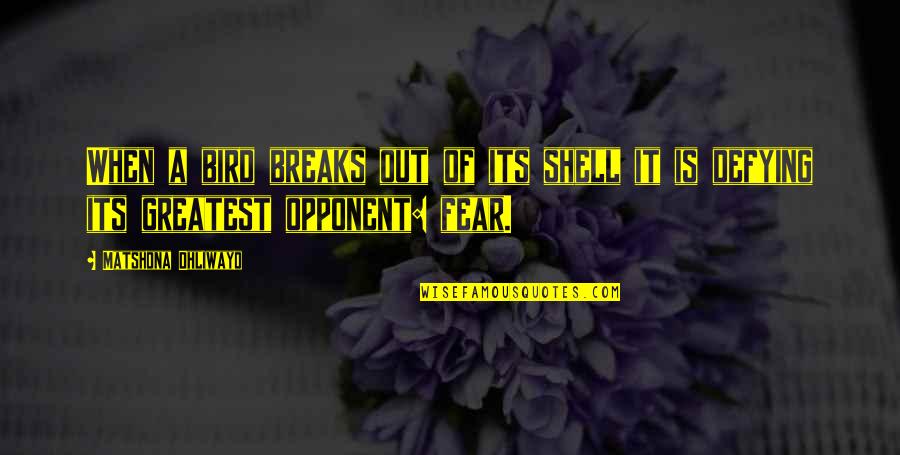 Ribault Quotes By Matshona Dhliwayo: When a bird breaks out of its shell Ribault Quotes By Matshona Dhliwayo: When a bird breaks out of its shell