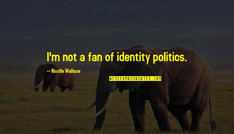 Ribaut Island Quotes By Nicolle Wallace: I'm not a fan of identity politics. Ribaut Island Quotes By Nicolle Wallace: I'm not a fan of identity politics.