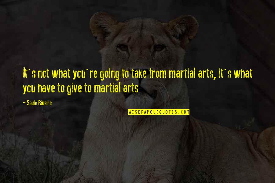 Ribeiro Quotes By Saulo Ribeiro: It's not what you're going to take from Ribeiro Quotes By Saulo Ribeiro: It's not what you're going to take from