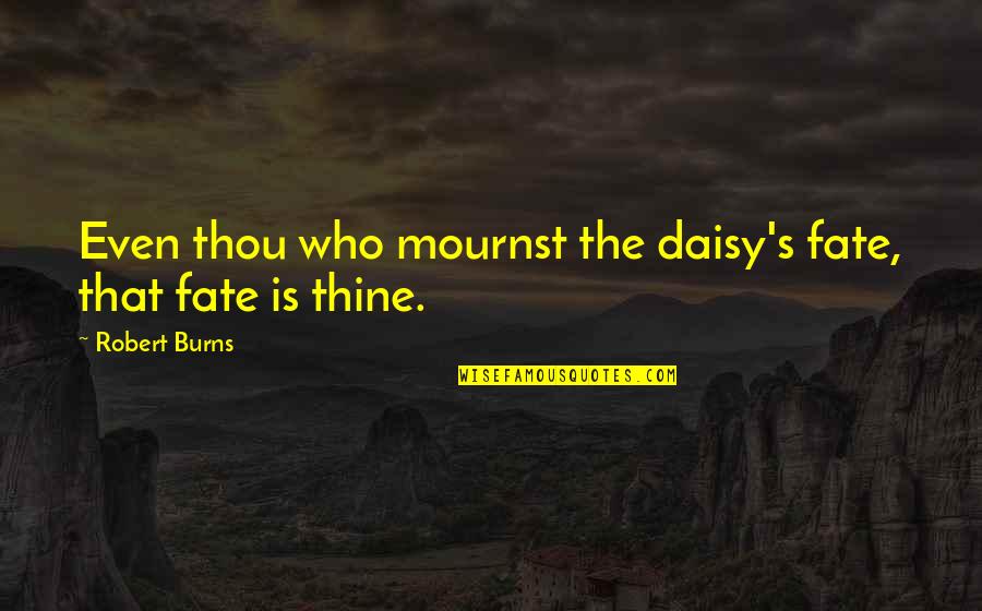 Ribet Quotes By Robert Burns: Even thou who mournst the daisy's fate, that Ribet Quotes By Robert Burns: Even thou who mournst the daisy's fate, that