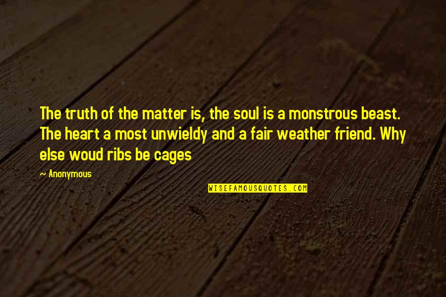Ribs 3 2 1 Quotes By Anonymous: The truth of the matter is, the soul