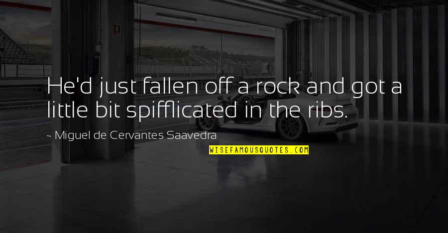 Ribs 3 2 1 Quotes By Miguel De Cervantes Saavedra: He'd just fallen off a rock and got