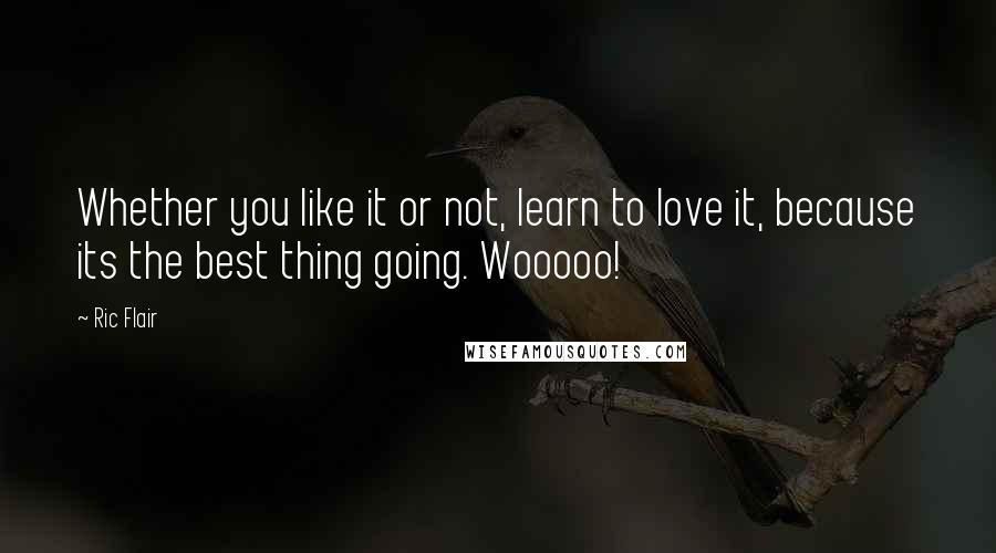 Ric Flair quotes: Whether you like it or not, learn to love it, because its the best thing going. Wooooo!