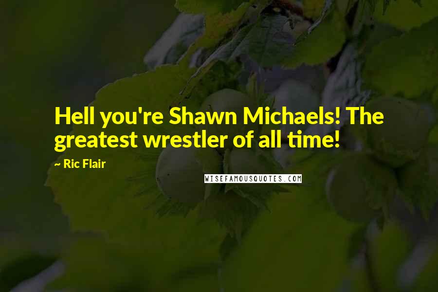 Ric Flair quotes: Hell you're Shawn Michaels! The greatest wrestler of all time!