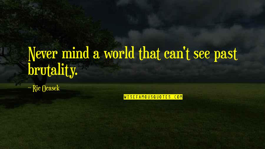Ric Ocasek Quotes By Ric Ocasek: Never mind a world that can't see past