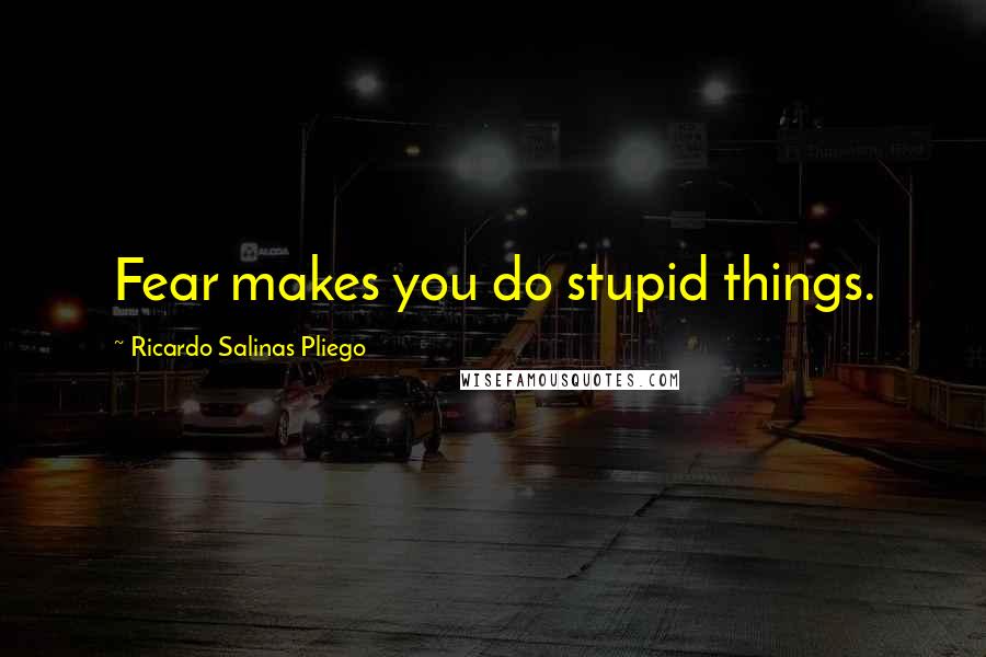 Ricardo Salinas Pliego quotes: Fear makes you do stupid things.