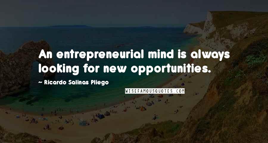 Ricardo Salinas Pliego quotes: An entrepreneurial mind is always looking for new opportunities.