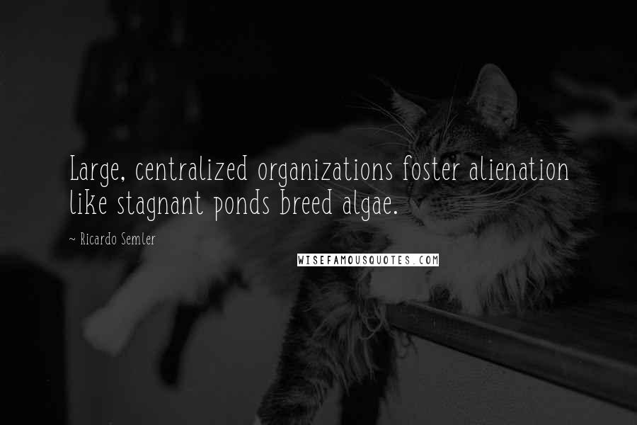 Ricardo Semler quotes: Large, centralized organizations foster alienation like stagnant ponds breed algae.