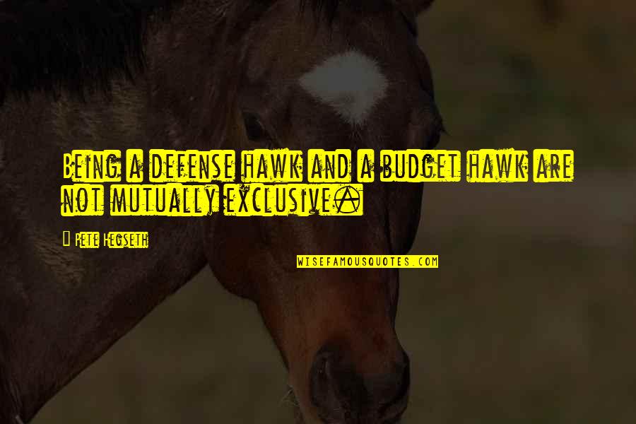 Ricchetti Chocolate Quotes By Pete Hegseth: Being a defense hawk and a budget hawk