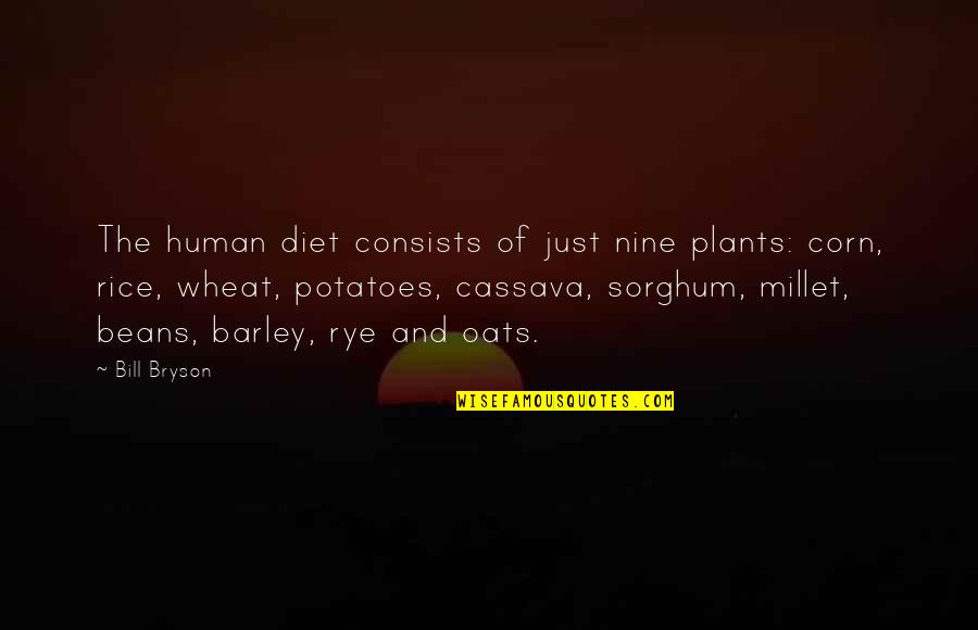 Rice And Beans Quotes By Bill Bryson: The human diet consists of just nine plants: