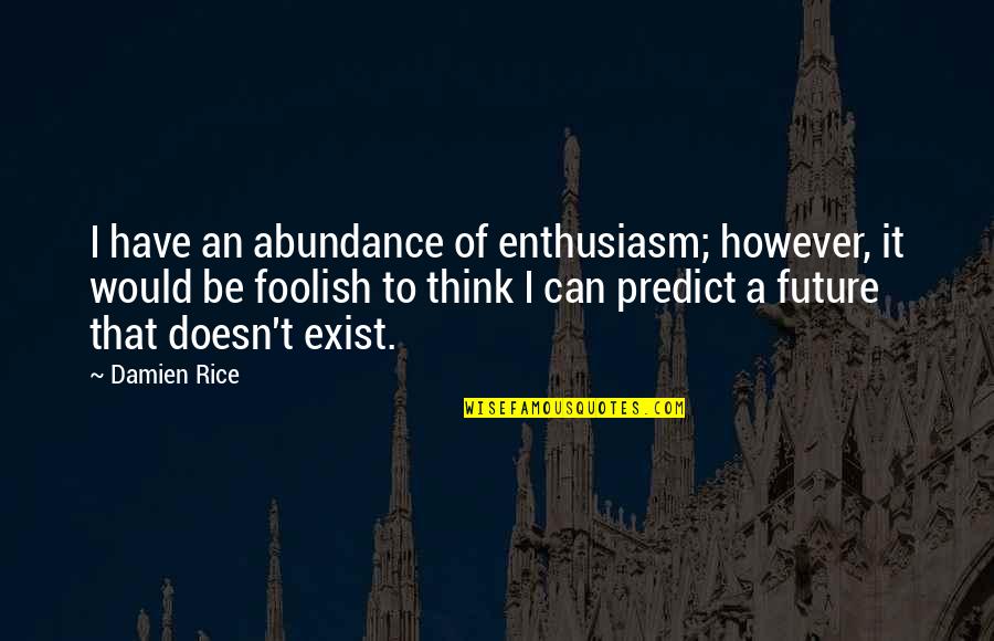 Rice Quotes By Damien Rice: I have an abundance of enthusiasm; however, it