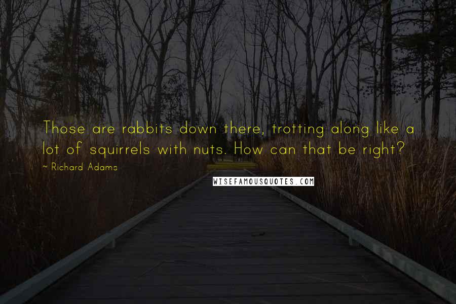 Richard Adams quotes: Those are rabbits down there, trotting along like a lot of squirrels with nuts. How can that be right?