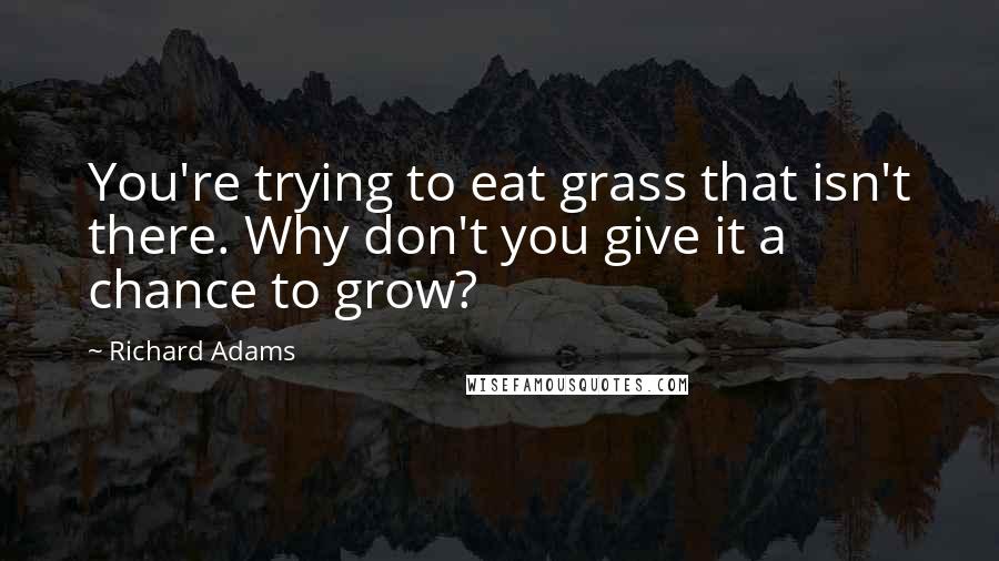 Richard Adams quotes: You're trying to eat grass that isn't there. Why don't you give it a chance to grow?