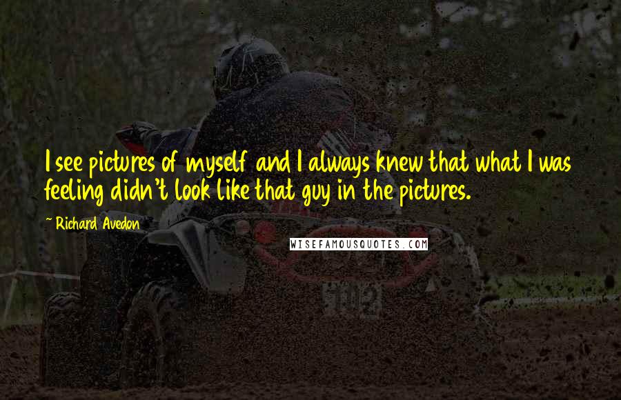 Richard Avedon quotes: I see pictures of myself and I always knew that what I was feeling didn't look like that guy in the pictures. Richard Avedon quotes: I see pictures of myself and I always knew that what I was feeling didn't look like that guy in the pictures.