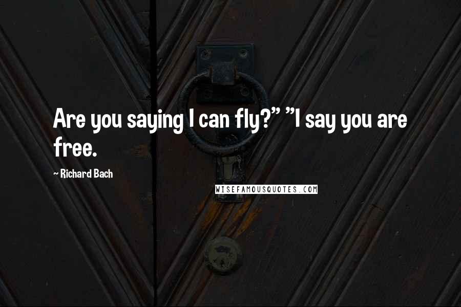 Richard Bach quotes: Are you saying I can fly?" "I say you are free.