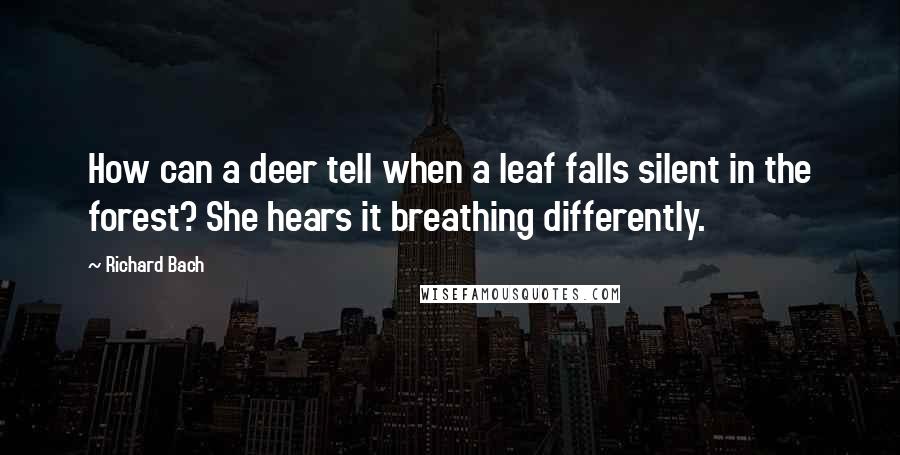 Richard Bach quotes: How can a deer tell when a leaf falls silent in the forest? She hears it breathing differently.