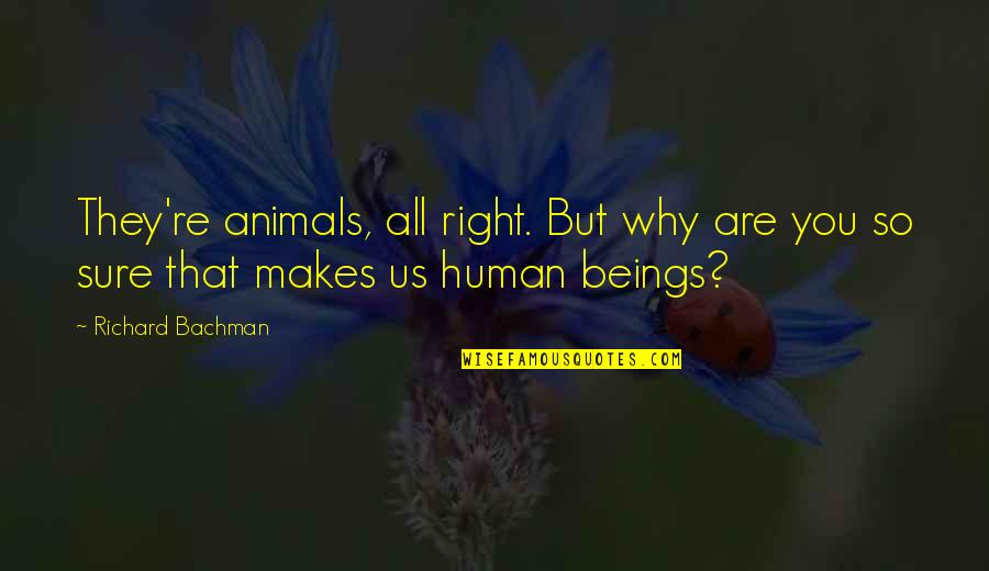 Richard Bachman Quotes By Richard Bachman: They're animals, all right. But why are you