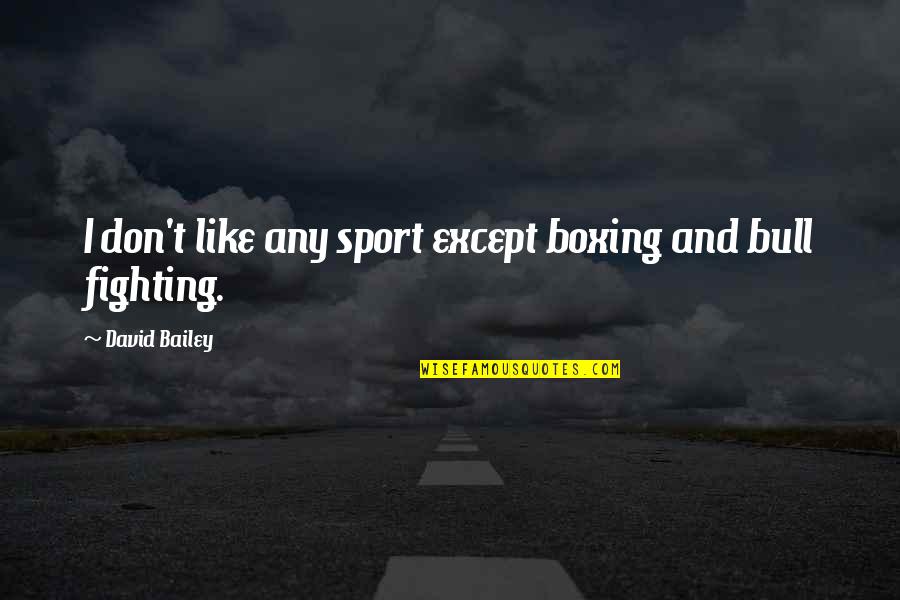 Richard Cech Quotes By David Bailey: I don't like any sport except boxing and