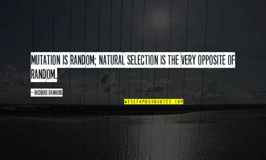 Richard Dawkins Natural Selection Quotes By Richard Dawkins: Mutation is random; natural selection is the very