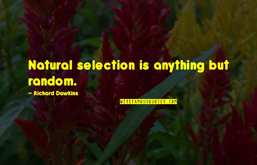 Richard Dawkins Natural Selection Quotes By Richard Dawkins: Natural selection is anything but random.