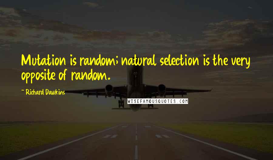 Richard Dawkins quotes: Mutation is random; natural selection is the very opposite of random.