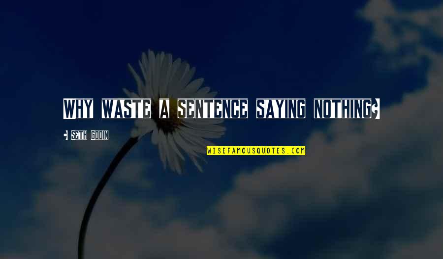 Richard Eberhart Quotes By Seth Godin: Why waste a sentence saying nothing?