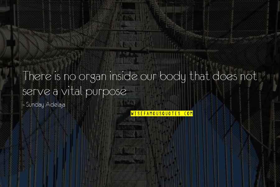 Richard Estes Quotes By Sunday Adelaja: There is no organ inside our body that