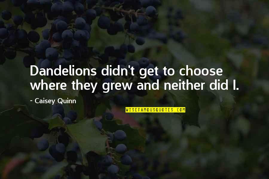 Richard Exley Quotes By Caisey Quinn: Dandelions didn't get to choose where they grew
