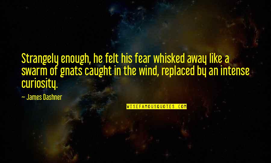 Richard Gere Brainy Quotes By James Dashner: Strangely enough, he felt his fear whisked away Richard Gere Brainy Quotes By James Dashner: Strangely enough, he felt his fear whisked away