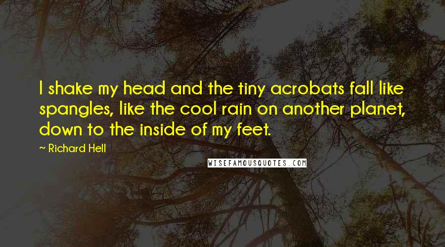 Richard Hell quotes: I shake my head and the tiny acrobats fall like spangles, like the cool rain on another planet, down to the inside of my feet.