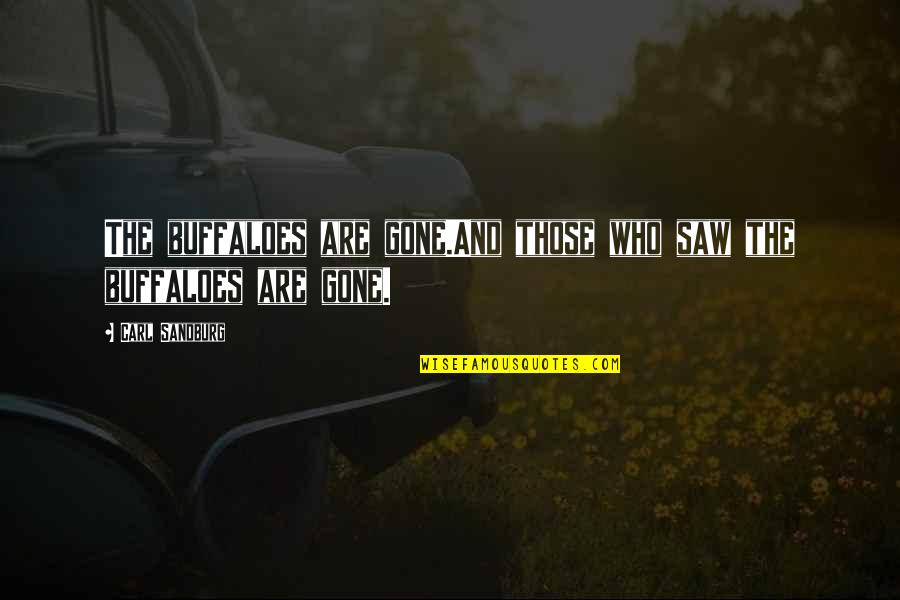 Richard Ii Quotes By Carl Sandburg: The buffaloes are gone.And those who saw the