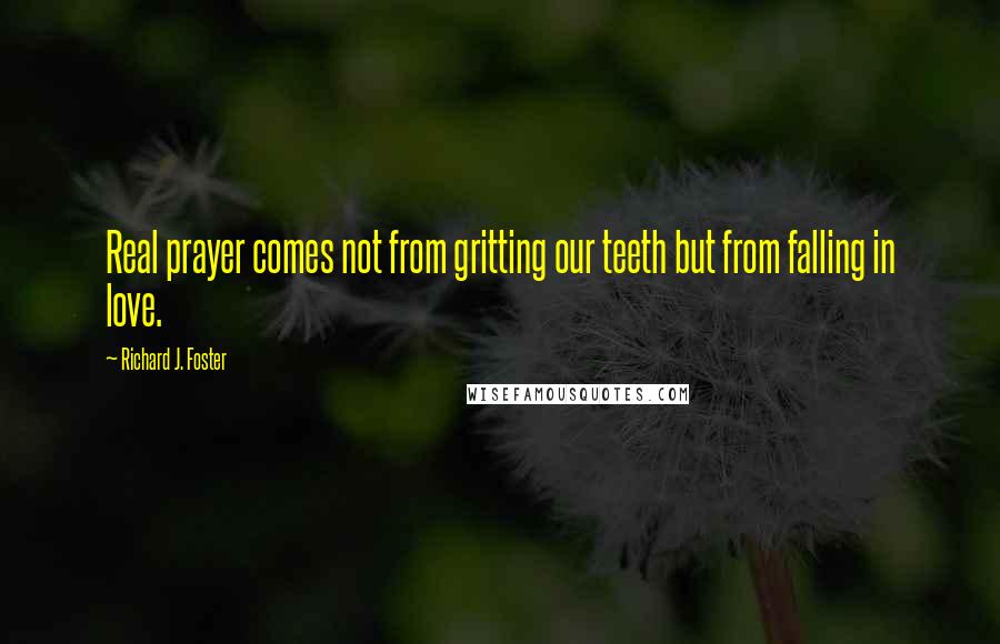 Richard J. Foster quotes: Real prayer comes not from gritting our teeth but from falling in love.