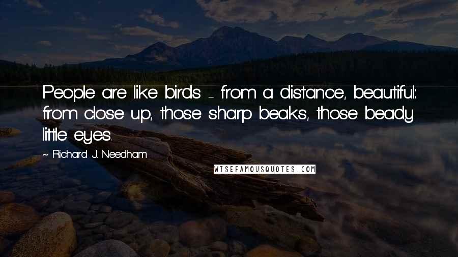 Richard J. Needham quotes: People are like birds - from a distance, beautiful: from close up, those sharp beaks, those beady little eyes.