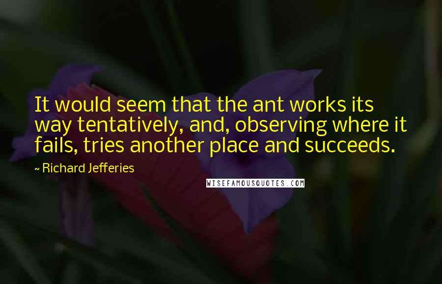 Richard Jefferies quotes: It would seem that the ant works its way tentatively, and, observing where it fails, tries another place and succeeds. Richard Jefferies quotes: It would seem that the ant works its way tentatively, and, observing where it fails, tries another place and succeeds.