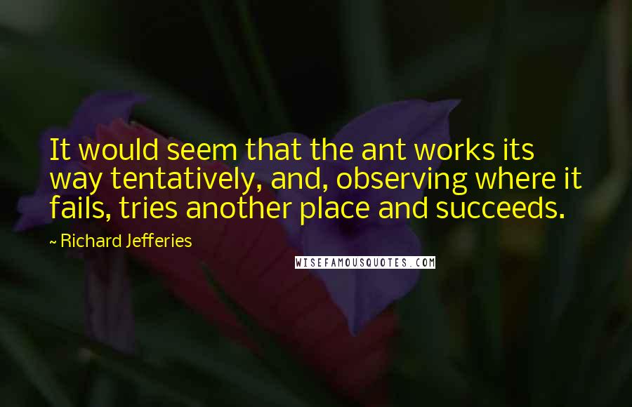 Richard Jefferies quotes: It would seem that the ant works its way tentatively, and, observing where it fails, tries another place and succeeds.