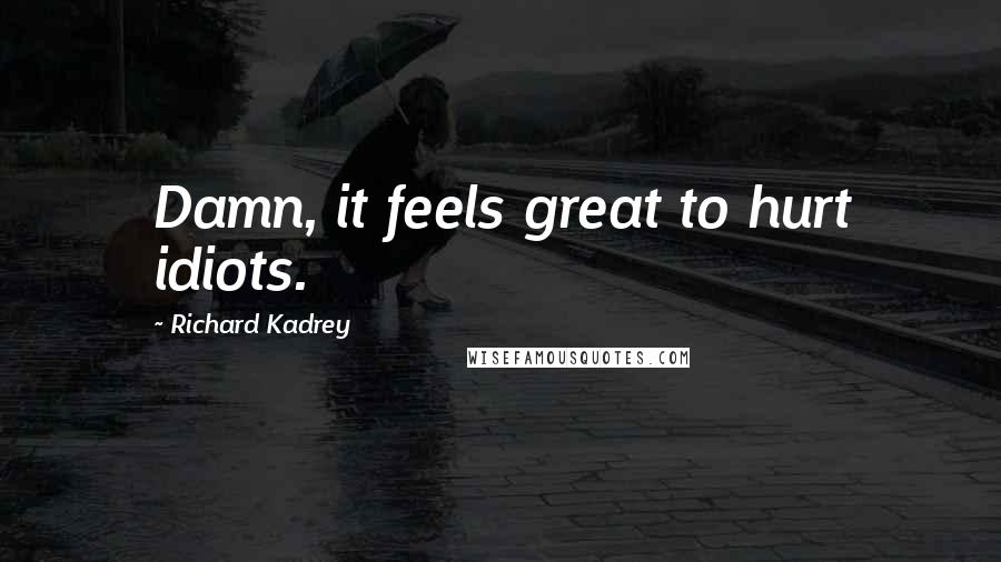 Richard Kadrey quotes: Damn, it feels great to hurt idiots.