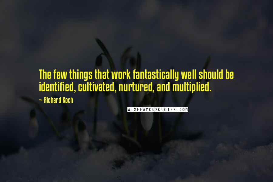 Richard Koch quotes: The few things that work fantastically well should be identified, cultivated, nurtured, and multiplied.