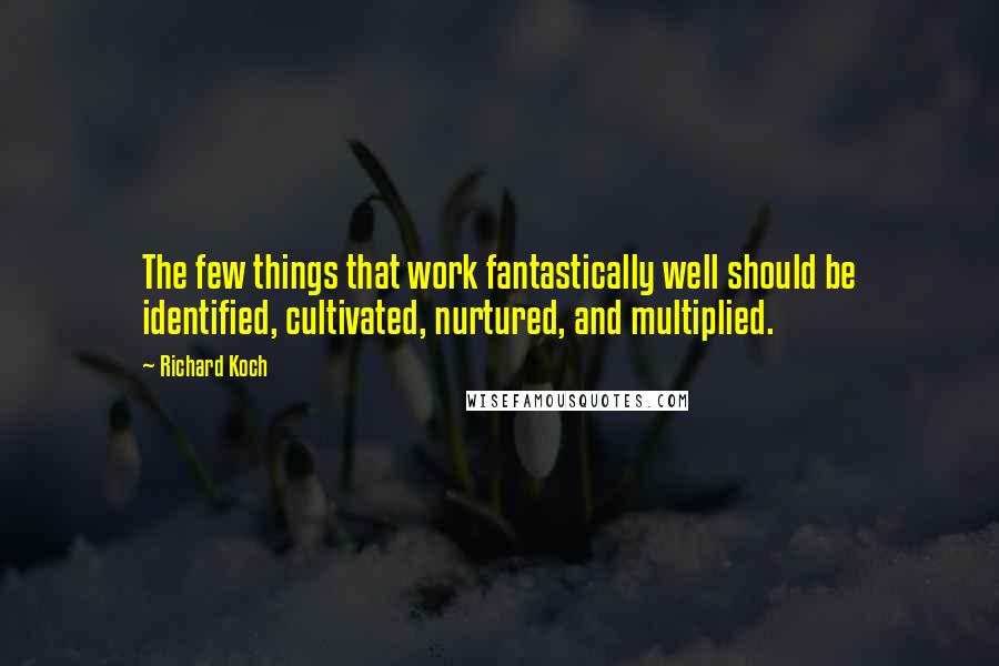 Richard Koch quotes: The few things that work fantastically well should be identified, cultivated, nurtured, and multiplied. Richard Koch quotes: The few things that work fantastically well should be identified, cultivated, nurtured, and multiplied.