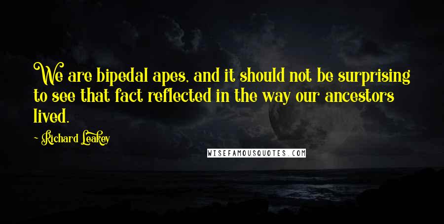 Richard Leakey quotes: We are bipedal apes, and it should not be surprising to see that fact reflected in the way our ancestors lived.