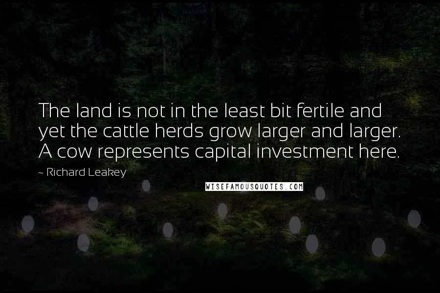 Richard Leakey quotes: The land is not in the least bit fertile and yet the cattle herds grow larger and larger. A cow represents capital investment here.