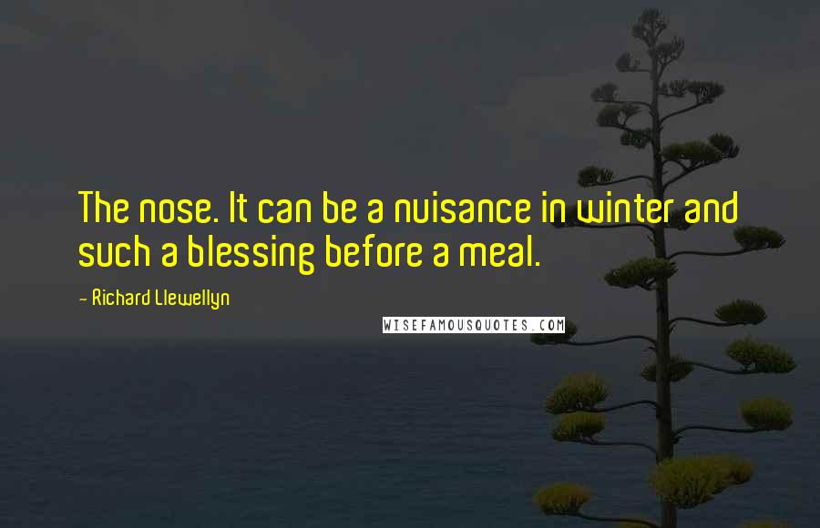 Richard Llewellyn quotes: The nose. It can be a nuisance in winter and such a blessing before a meal.