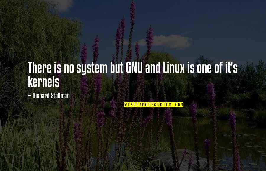 Richard M Stallman Quotes By Richard Stallman: There is no system but GNU and Linux