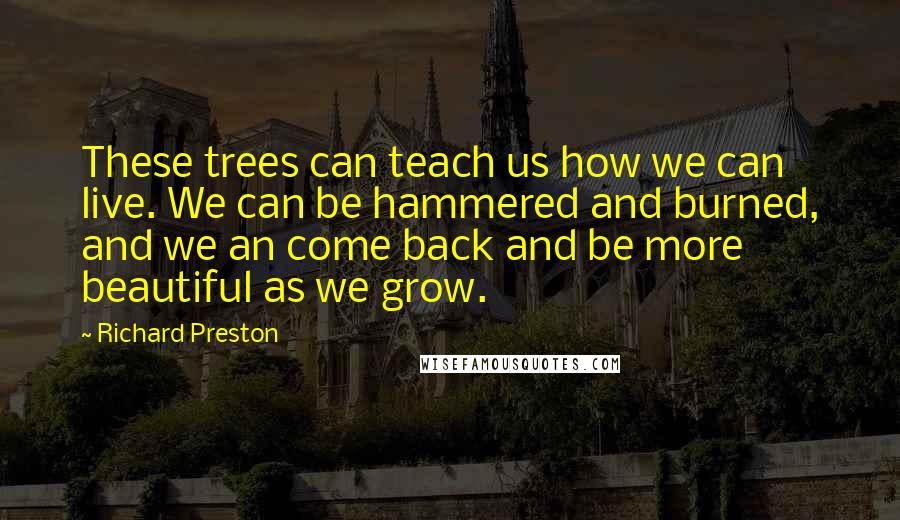 Richard Preston quotes: These trees can teach us how we can live. We can be hammered and burned, and we an come back and be more beautiful as we grow.