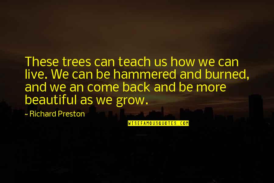 Richard Preston Quotes By Richard Preston: These trees can teach us how we can