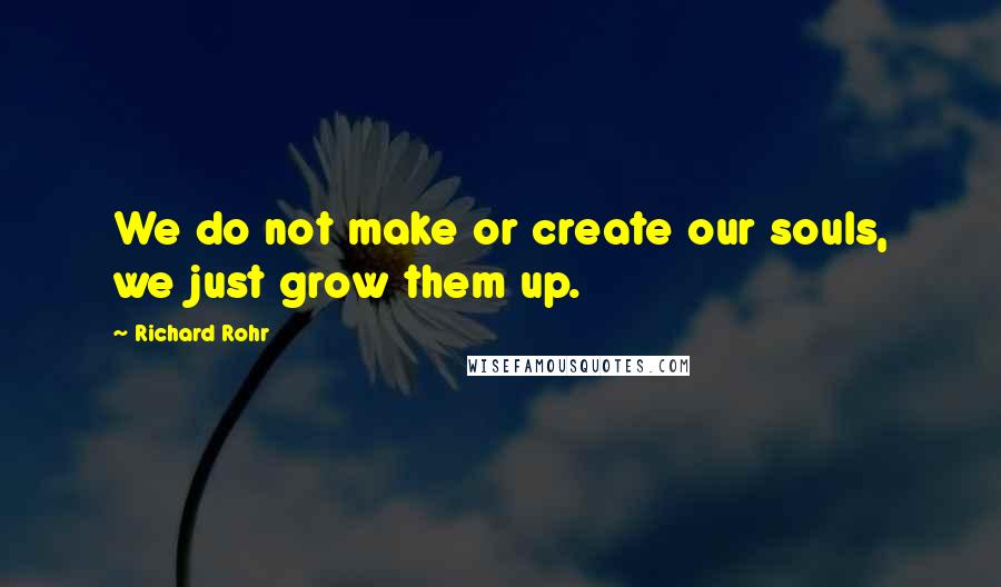 Richard Rohr quotes: We do not make or create our souls, we just grow them up. Richard Rohr quotes: We do not make or create our souls, we just grow them up.