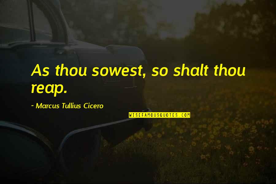 Richard Scrushy Quotes By Marcus Tullius Cicero: As thou sowest, so shalt thou reap. Richard Scrushy Quotes By Marcus Tullius Cicero: As thou sowest, so shalt thou reap.