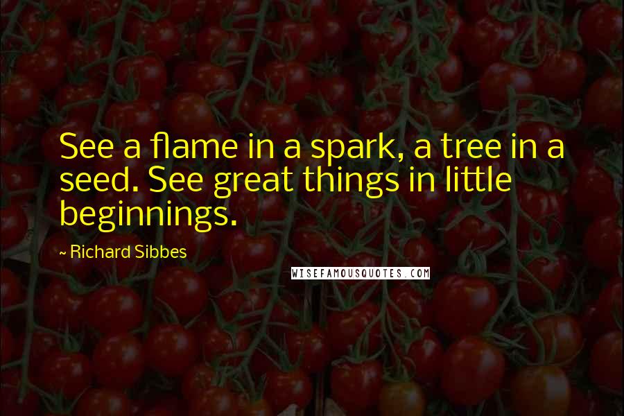 Richard Sibbes quotes: See a flame in a spark, a tree in a seed. See great things in little beginnings.